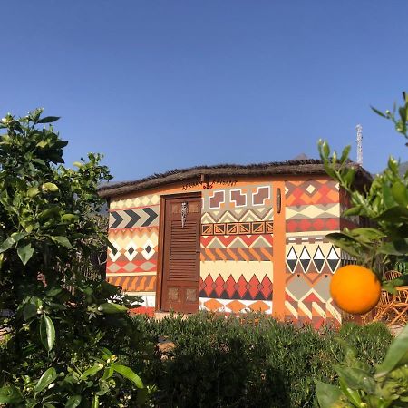 Afrikan Krisant Tenerife, Casa Rural Ecologica アラフォ エクステリア 写真