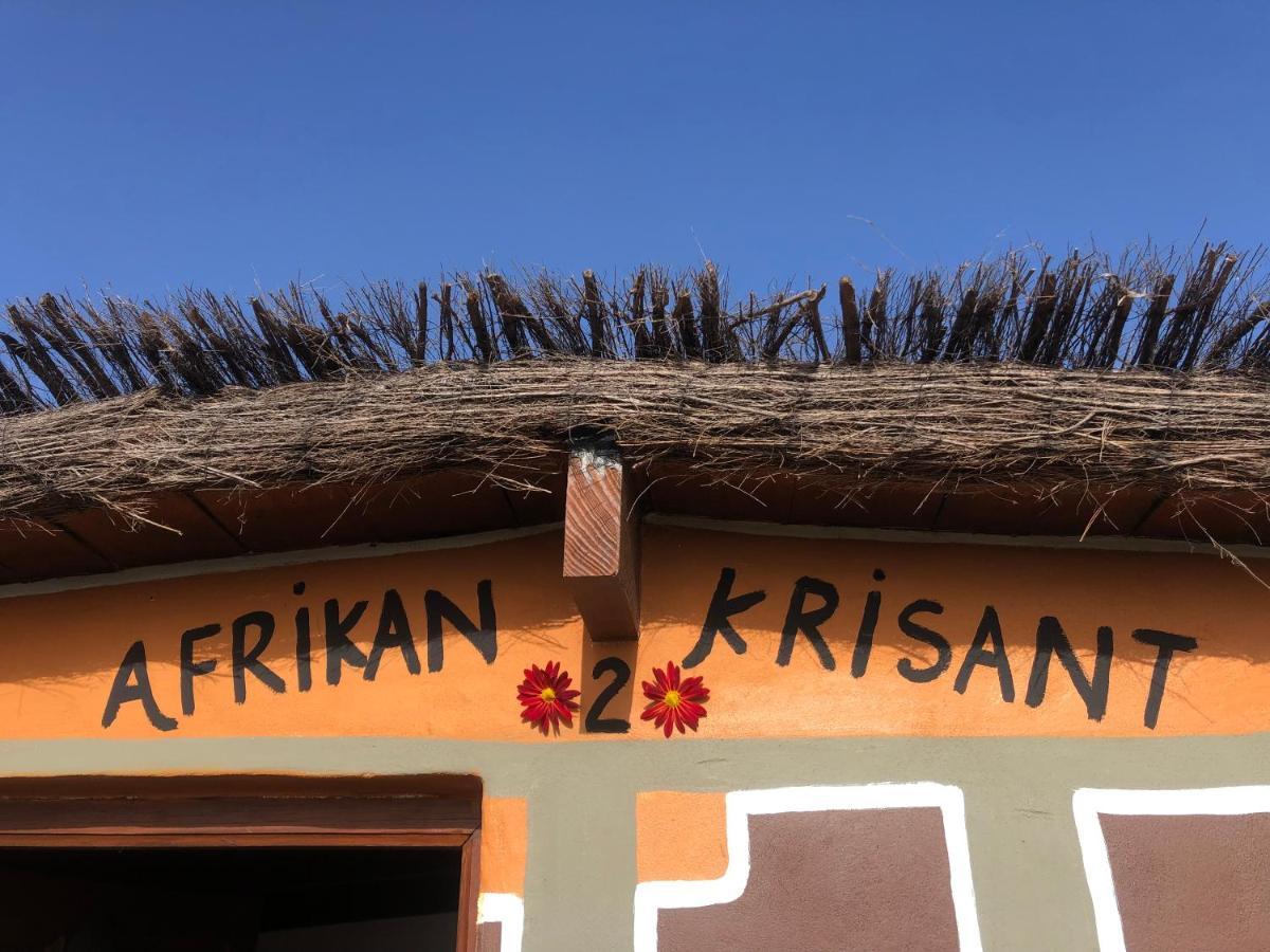 Afrikan Krisant Tenerife, Casa Rural Ecologica アラフォ エクステリア 写真