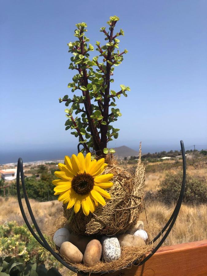 Afrikan Krisant Tenerife, Casa Rural Ecologica アラフォ エクステリア 写真