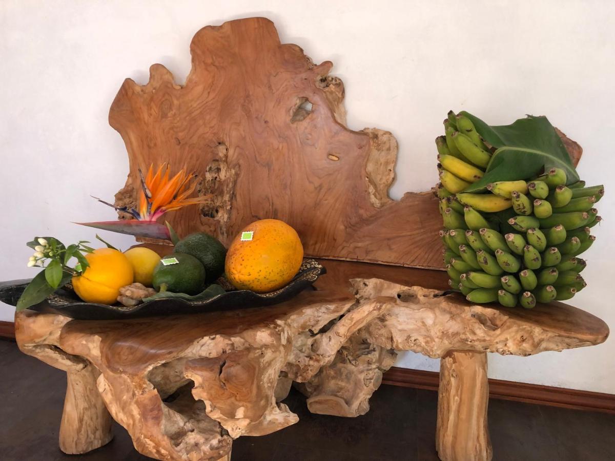 Afrikan Krisant Tenerife, Casa Rural Ecologica アラフォ エクステリア 写真