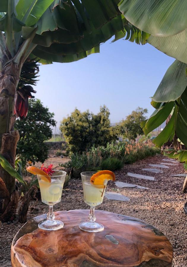 Afrikan Krisant Tenerife, Casa Rural Ecologica アラフォ エクステリア 写真