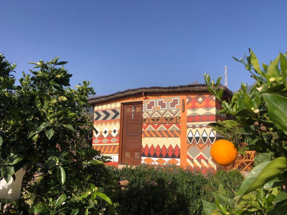 Afrikan Krisant Tenerife, Casa Rural Ecologica アラフォ エクステリア 写真