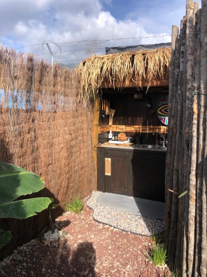 Afrikan Krisant Tenerife, Casa Rural Ecologica アラフォ エクステリア 写真