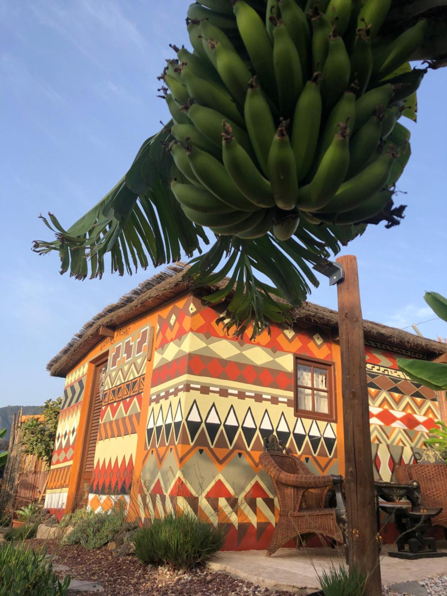 Afrikan Krisant Tenerife, Casa Rural Ecologica アラフォ エクステリア 写真