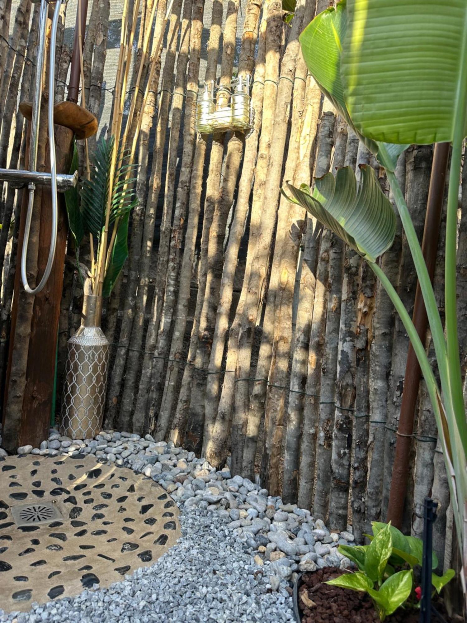 Afrikan Krisant Tenerife, Casa Rural Ecologica アラフォ エクステリア 写真