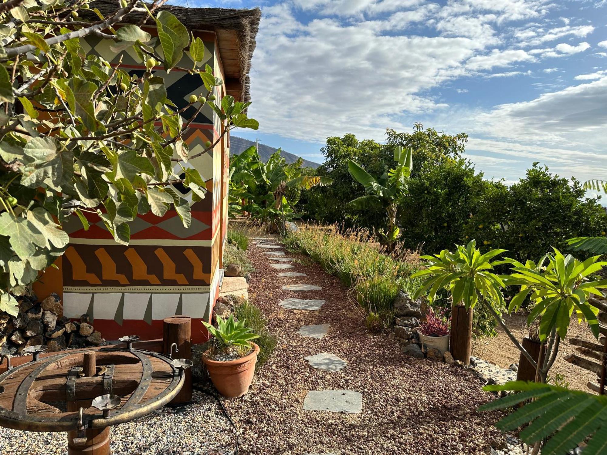 Afrikan Krisant Tenerife, Casa Rural Ecologica アラフォ エクステリア 写真
